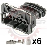 5 Way Bosch Ignitor Plug Connector Kit. Fits AEM 30-2840 Driver.