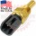 GM Delphi / Packard Fluid Temperature Sensor ( ECT / CLT / TFT ) or Coolant Temperature Sensor # 12160855