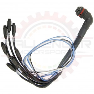 MXL2/MXS/MXG 22 Pin Expansion Harness